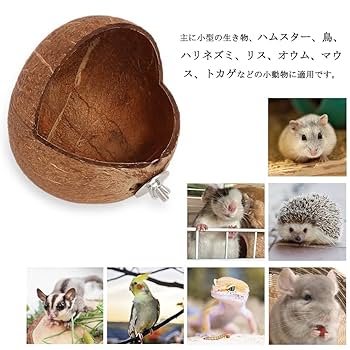 モモンガハウス(針ねずみ柄・Ver.5)  ボアモスグリーン 1850円 楽天市場】小動物 ハウス デグー ハムスター モモンガポーチ